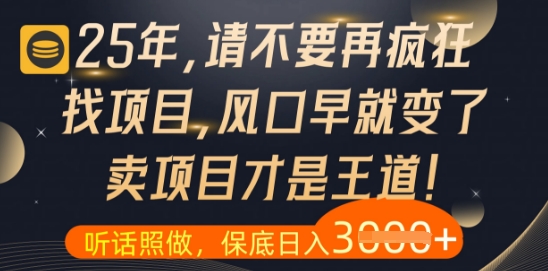 什么？25年你还在疯狂找项目做，醒醒吧，看完这些你全都懂了
