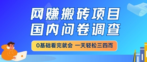 网创搬砖项目，国内问卷调查，小白轻松上手，一天三四张的也不难，干就完了