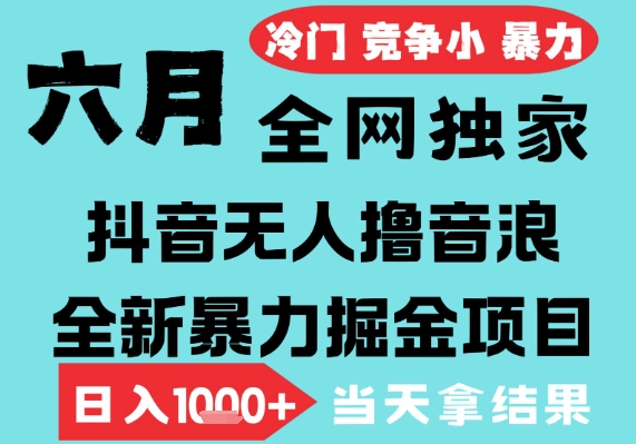 2025年6月高爆抖音无人直播最新撸音浪掘金项目，无脑日入1k+，低门槛小白可做，可矩阵放大