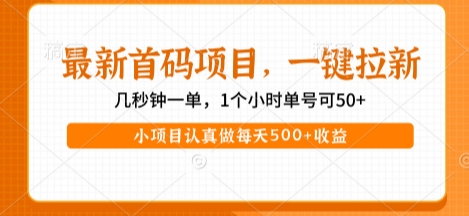 最新首码项目，操作最简单，收益高，一键拉新，1个小时单号可50+，小项目认真做每天5张+收益