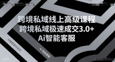跨境私域线上高级课程，跨境私域极速成交3.0+Ai智能客服