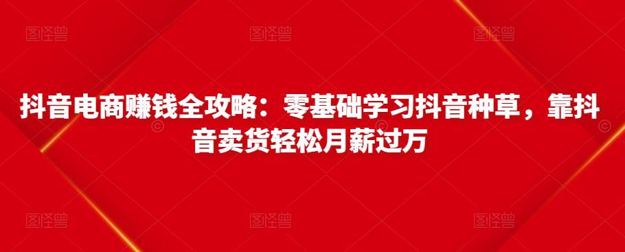 抖音电商赚钱全攻略：零基础学习抖音种草，靠抖音卖货轻松月薪过万